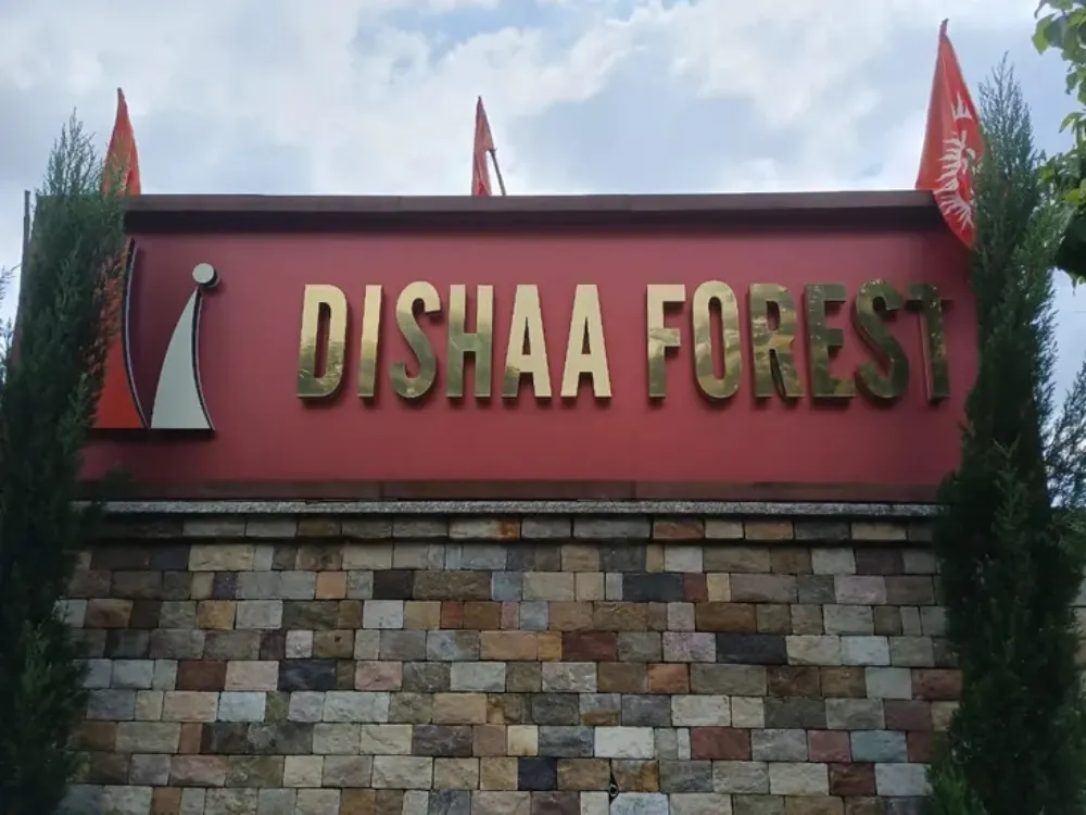 Disha Forest 2