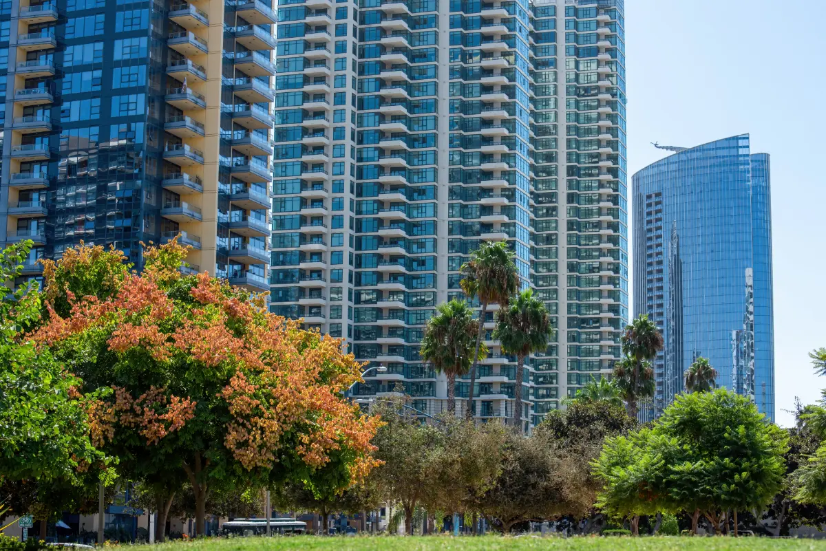 4/5 BHK Luxury Apartments in Noida: What to Expect in 2025